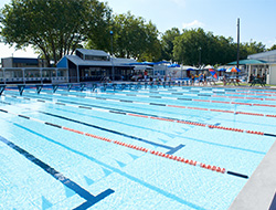 MatamataSwimZoneWebsitePic
